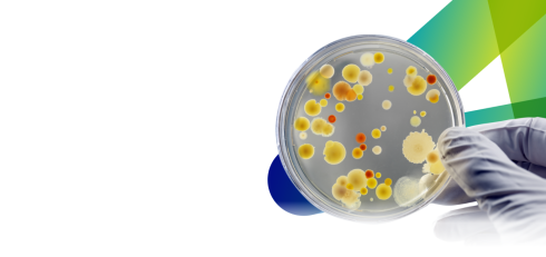 تست های MIC و MBC