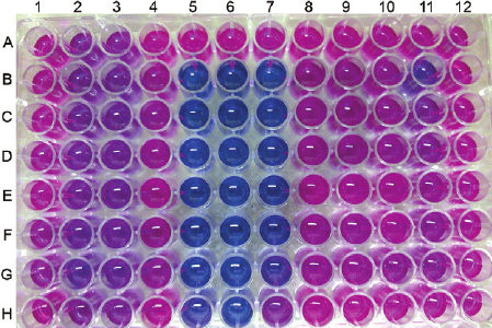 تست های MIC و MBC