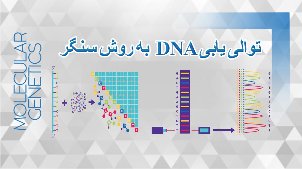 آموزش توالی یابی DNA به روش سنگر