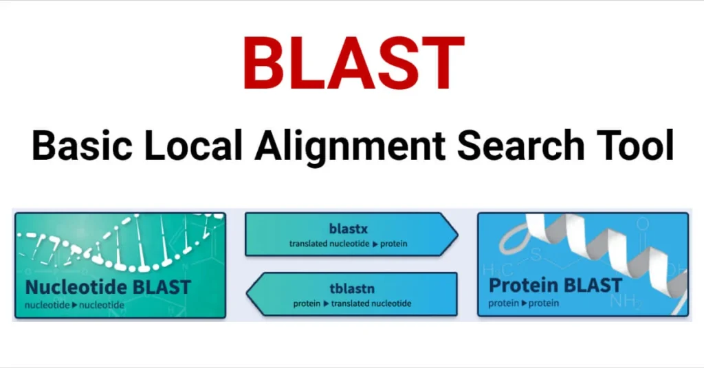 ابزار BLAST در بیوانفورماتیک