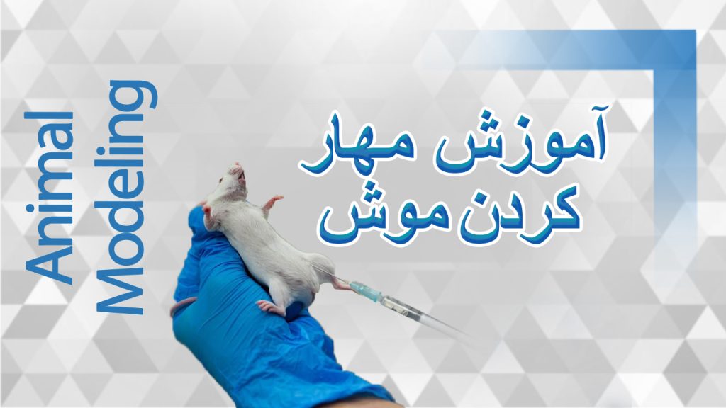 آموزش فارسی مهار کردن موش