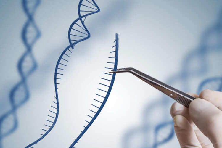 مهندسی ژنتیک چیست