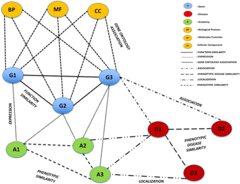 توپولوژی نتورک