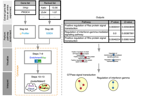 آنالیز غنیسازی