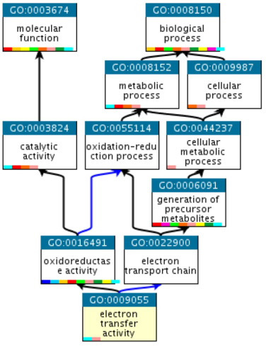 آنالیز غنیسازی