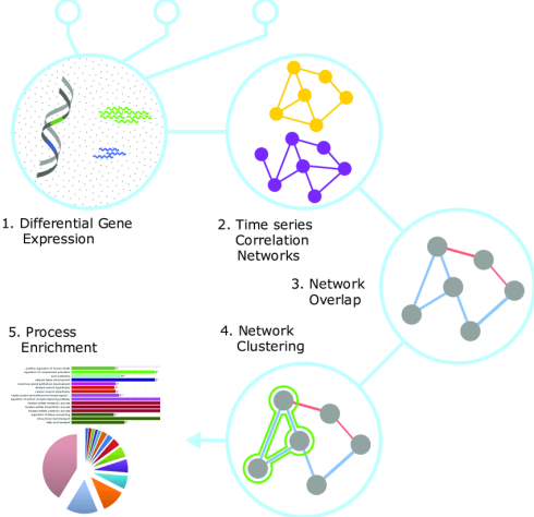 شبکه های زیستی
