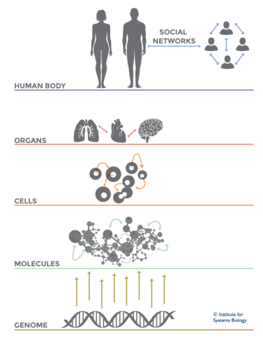 شبکه های زیستی