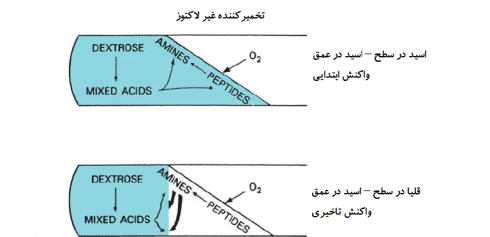 کلیگلر آیرون آگار (Kligler’s Iron Agar (KIA)) اصول، رویه، نتایج
