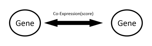 شبکه هم‌بیانی