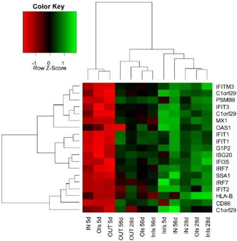 نمودارهای هیت مپ