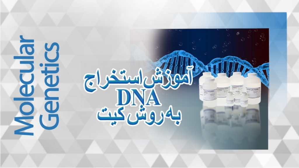 آموزش استخراج DNA به روش کیت