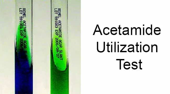 تست استامید (Acetamide utilization Test): اصول، روش، موارد استفاده و تفسیر