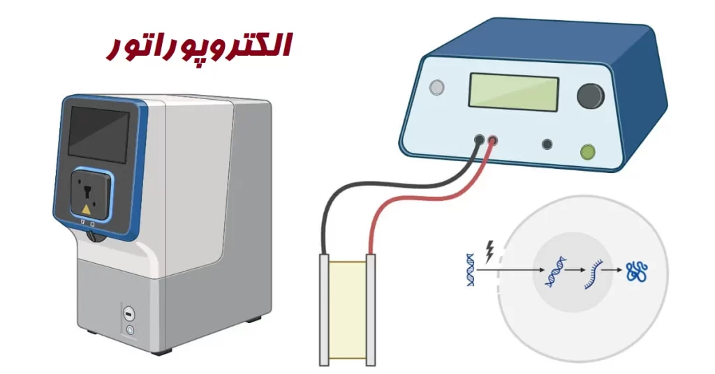 الکتروپوراتور چیست