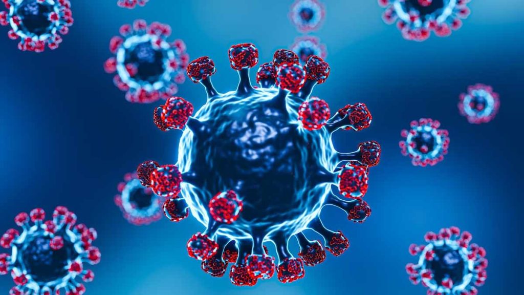 ویروس نیپا (NiV):ساختار، انتقال، تکثیر و تظاهرات بالینی
