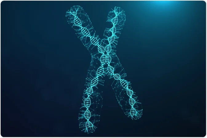 چگونه می‌توانیم کروموزوم‌های مصنوعی بسازیم؟