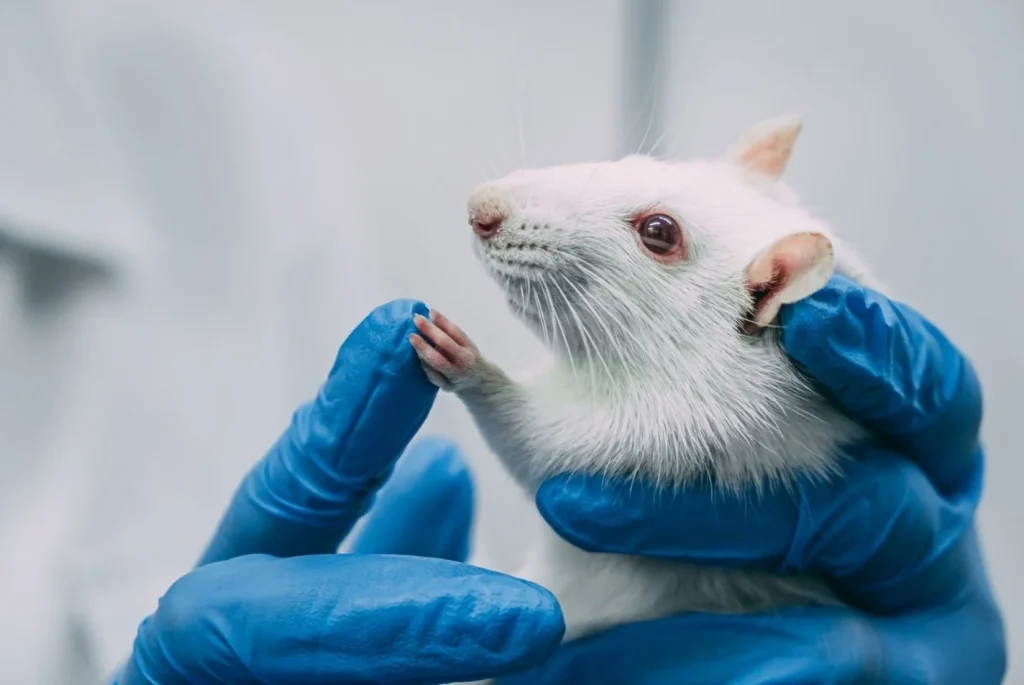 بهبود رفاه موش‌های آزمایشگاهی: 5 راه ساده