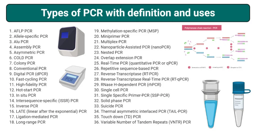 37 مورد از انواع PCR به همراه تعریف، اصول و کاربرد